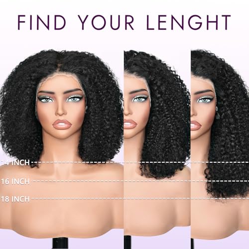 Afro Kinkycurly Wig Human Hair, 13x4 Lace Front Glueless Bob Wigs, 180 Density Pre Plucked Transparent Lace Frontal, Brazilian Kinky Straight Wig for Black Women, Natural Black 14 Inch