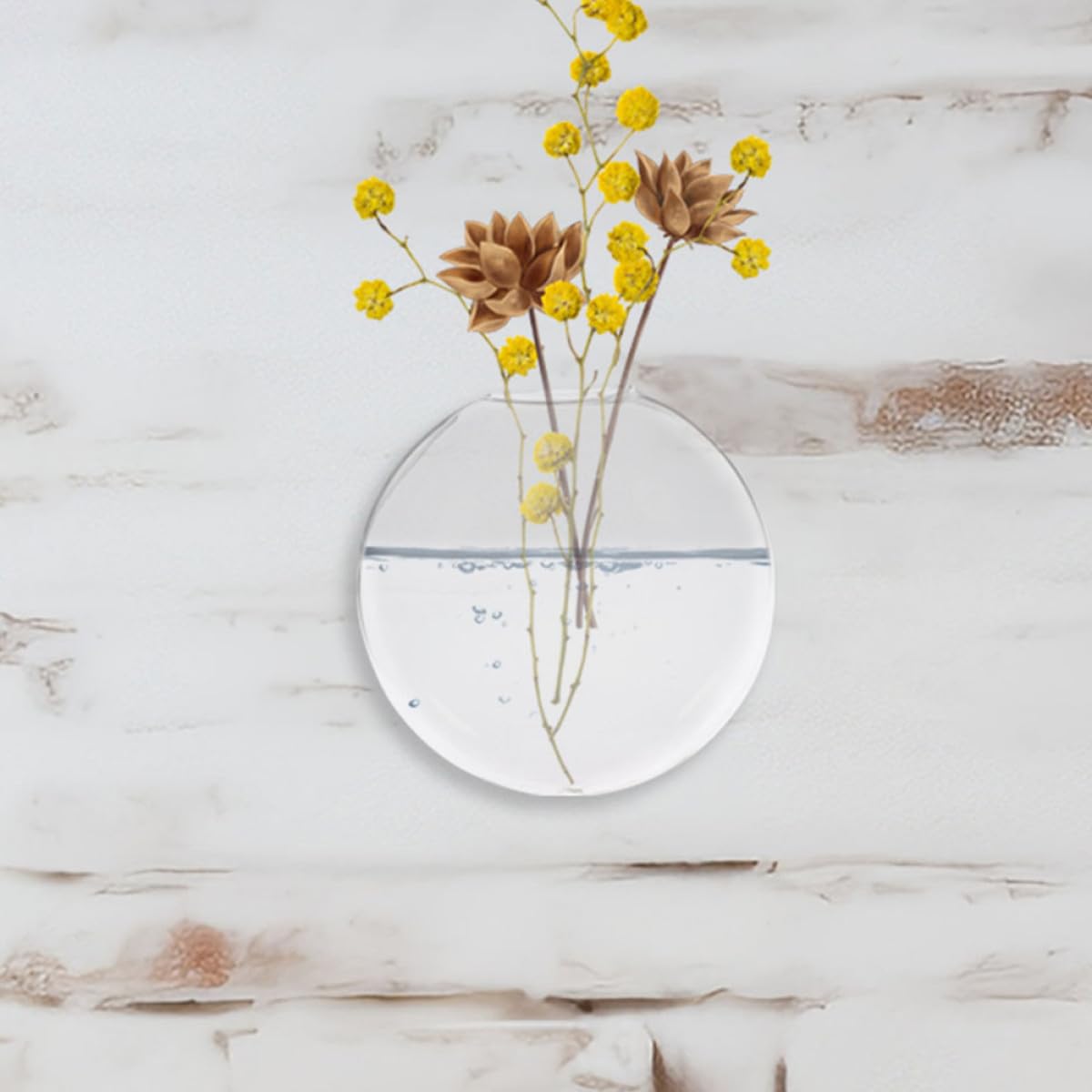 Luxshiny Wall Hanging Glass Vase Set of 2, Hydroponic Planter for Indoor Plants, Large Glass Terrarium Propagation Vase for Home and Office Décor
