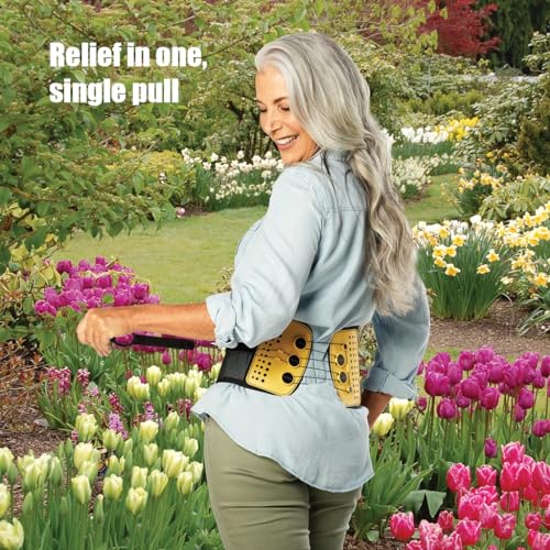 Lumbar Support Belt with Compound Pulley System - Made of Lightweight & Breathable Mesh - Instant Relief for Low Back Pain (XX-Large)