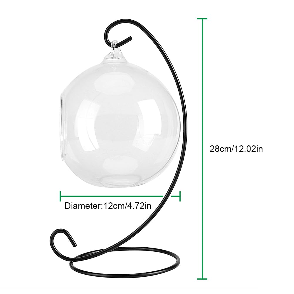 Air Plant Terrarium Kit with Stand, Hanging Glass VaseTerrarium Globe with Metal Ornament Display Stand Tabletop Glass Terrarium for Air Plants Small Plants