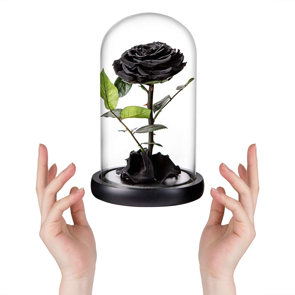 Preserved Roses Black Roses Handmade Real Rose in Glass Dome, Preserved Roses Never Withered Romantic Gifts for Her, Mother's Day, Birthday Gifts for Women (9 inch, Black)
