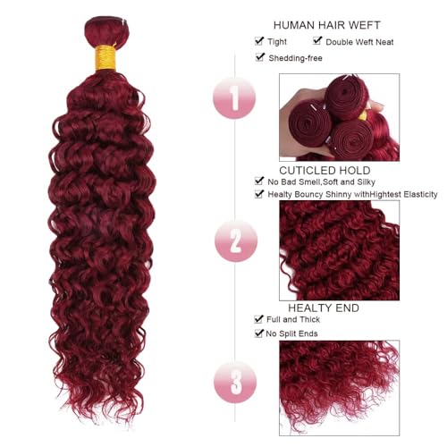 Augfst Brazilian Virgin Human Hair Bundles Burgundy 99J Water Wave Curly Human Hair Bundles 20 22 24 inch Unprocessed Brazilian Wine Red Quick Weave Hair for Black Women