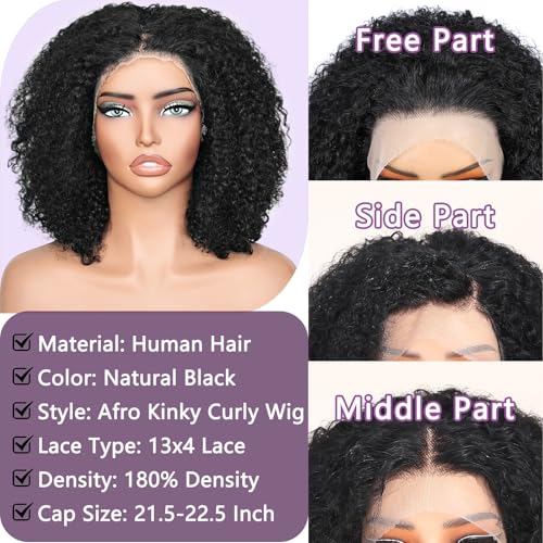 Afro Kinkycurly Wig Human Hair, 13x4 Lace Front Glueless Bob Wigs, 180 Density Pre Plucked Transparent Lace Frontal, Brazilian Kinky Straight Wig for Black Women, Natural Black 14 Inch