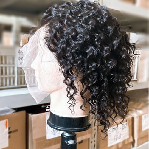 Hair Full Lace Wigs Human Hair Wet Curly Full Lace Human Hair Wigs for Women Deep Wave HD Transparent Pre Plucked Bleached Knots With Baby Hair 7 Inch