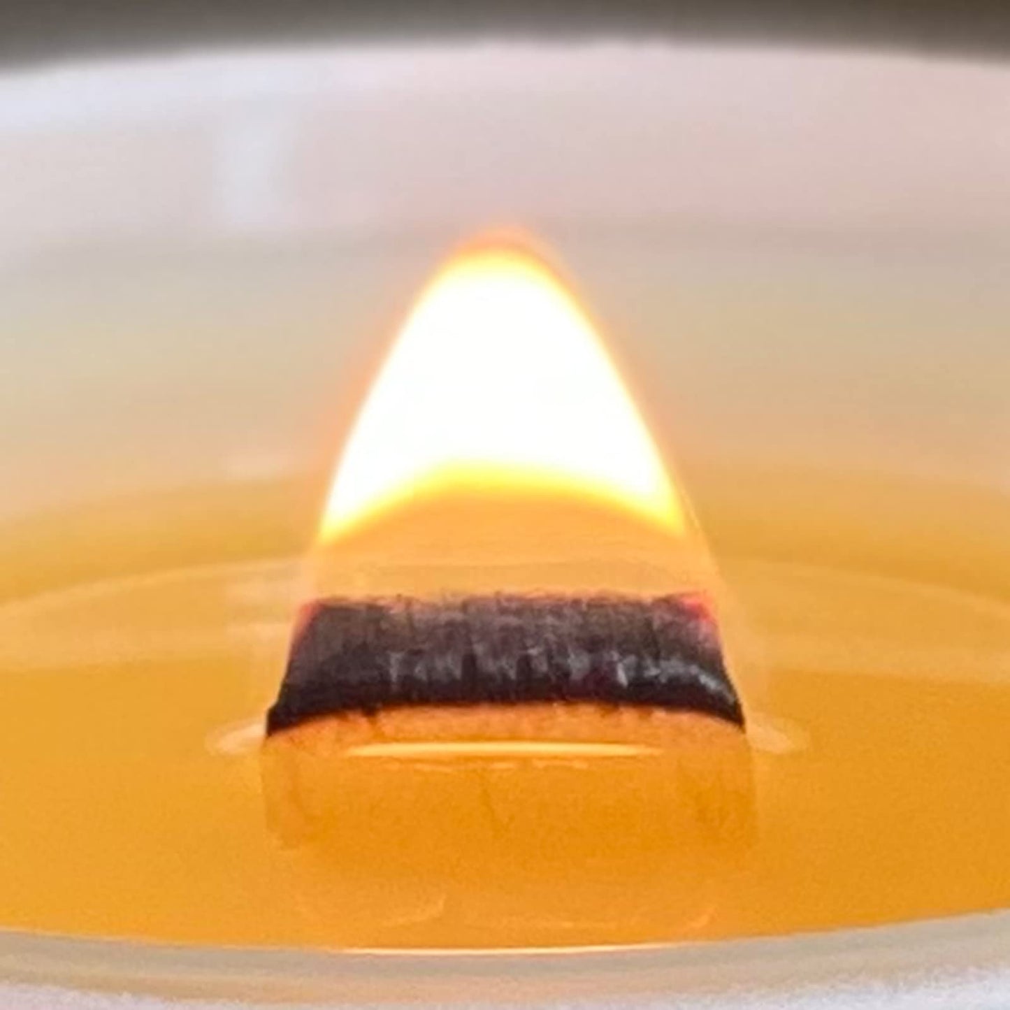 VAVERA Green Tea + Lemon Grass Wood Wick Candles that Crackle (14oz/Matte Soy Candle). an Amazing Spa Fragrance. Amazing Christmas Gift. Vegan, Non Toxic Hand-Crafted in USA.