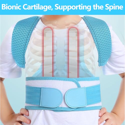 Posture Corrector for Kids,Adjustable Children Posture Corrector for Boys/Girls,Breathable Back Support Belt with Spine Lumbar Shoulder Braces for Hunchback，Spine Corrector (Blue, X-Large)