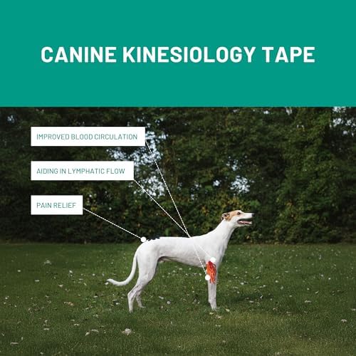 VETKIN VetkinTape® Veterinary Kinesiology Tape | Tape for Horses & Dogs | Equine & Canine Kinesiotape | Latex Free and Quality Mark Certified Ktape | 1.2 inch | Pack of 2 Rolls (Black)