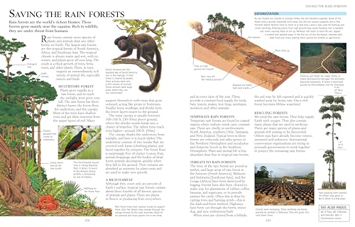The Kingfisher Science Encyclopedia (Kingfisher Encyclopedias)