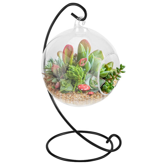 Air Plant Terrarium Kit with Stand, Hanging Glass VaseTerrarium Globe with Metal Ornament Display Stand Tabletop Glass Terrarium for Air Plants Small Plants