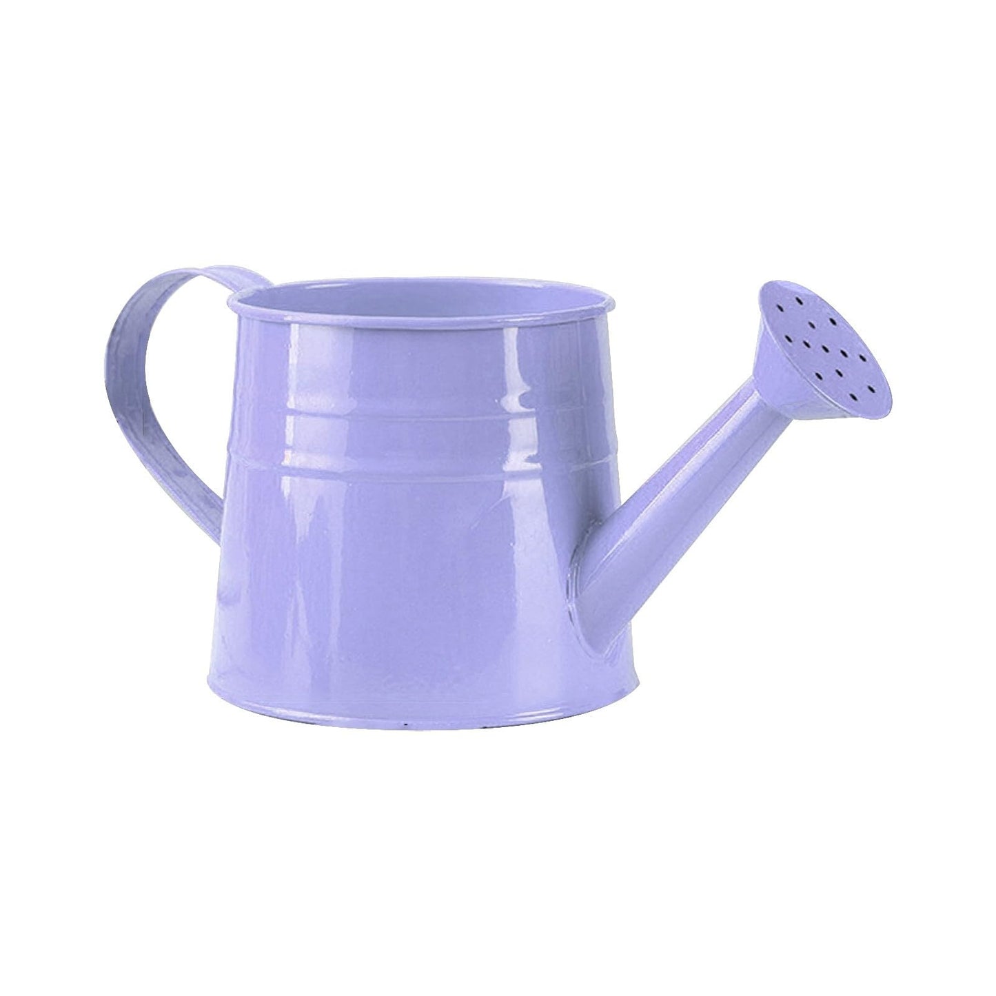 Galvanized Watering Can 1L,Tinplate Watering Kettle with Removable Spout,Garden Decorations,Gardening Tools for Outdoor Indoor Plants Lawn Garden (Purple)