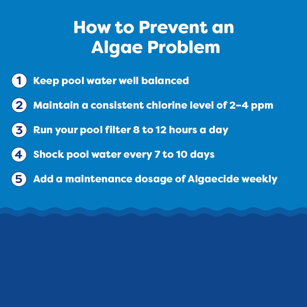 In The Swim Algaecide 60 Plus for Swimming Pools - Non-Metallic, Low Odor, Non-Foaming Algae Bloom Preventative - Chlorine Sanitizer Compatible - 1 Quart
