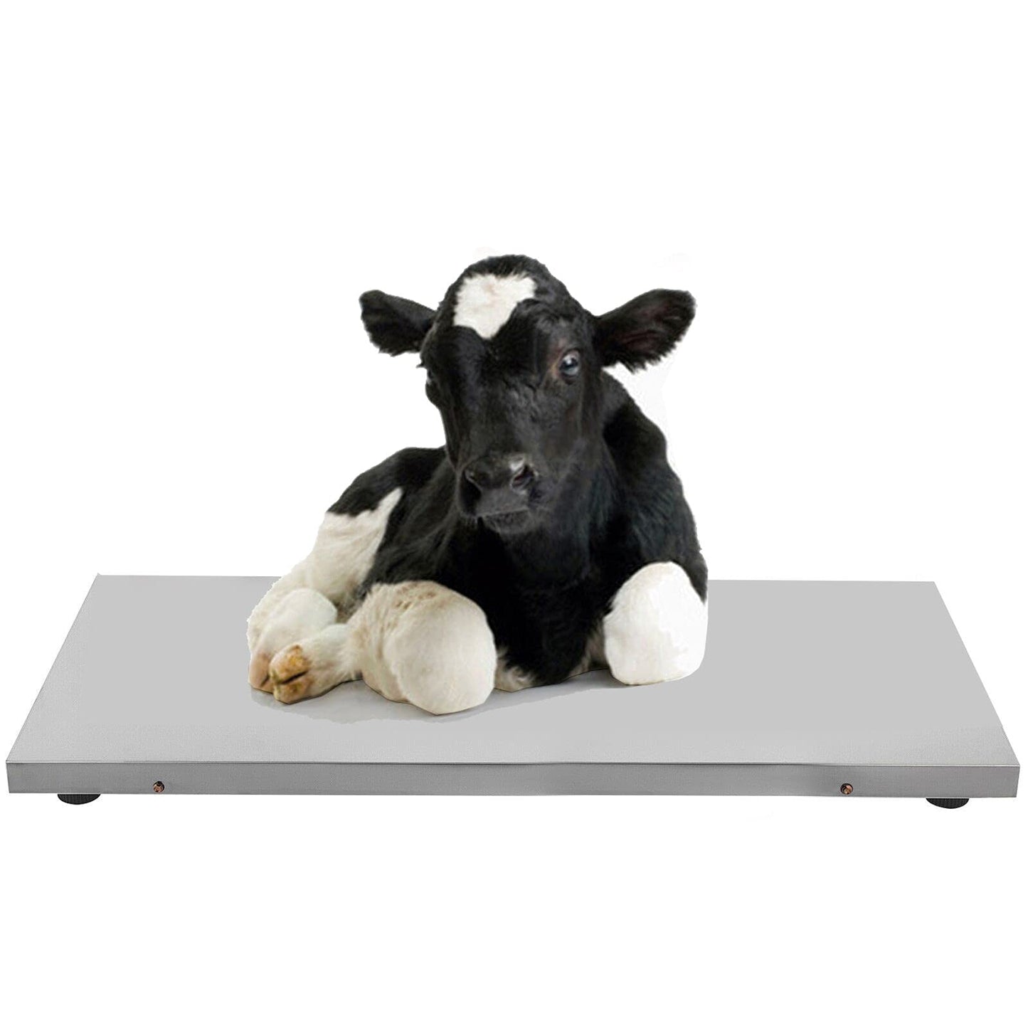Spritool New Model 1100LB(500 KG *0.1 KG) Large Platform 41 inch Postal Digital Shipping Livestock Scale Pets Scale Small Cow or Pig Scale Animal Scale Dog Scale with Both Plug and Battery