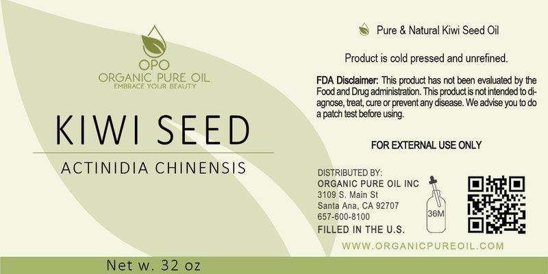 Kiwi Seed Oil - 32 oz - Pure, All Natural, Cold Pressed, Unrefined, Kiwi Oil Perfect for Hair, Skin, Scalp, Body Care Moisturizer