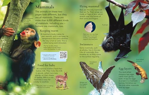 First Encyclopedia of Animals