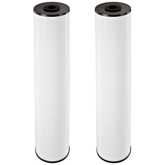 Pentair Pentek RFFE20-BB Big Blue Water Filter, 20-Inch, Whole House Radial Flow Iron Reduction Replacement Cartridge, 20" x 4.5", Pack of 2