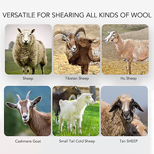 FTVOGUE 1000W High Power Electric Sheep Clipper 13 Tooth Farm Livestock Shearing Grooming Machine Kit