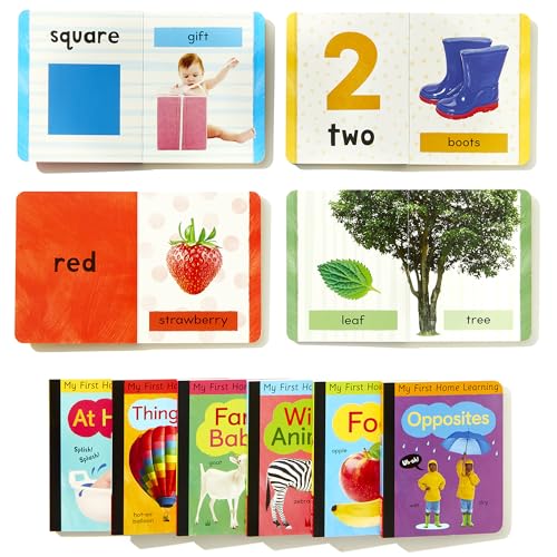 Early Learning Library: Box Set 10 Board Books for Kids (My First Home Learning)