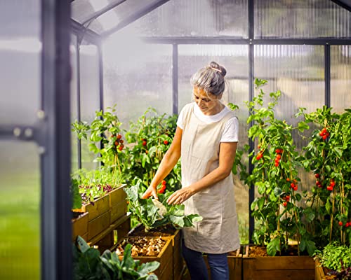Palram - Canopia Glory 8 Ft. x 8 Ft. Greenhouse Kit with 4 Heavy Duty ShelvesHobby DIY Walk In Green House Heavy Duty Polycarbonate with Aluminium Frame, with Lockable Door and Vent for Garden (Gray)
