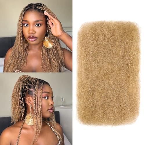 BLL Afro Kinkys Bulk Human Hair-100% Human Hair for Mini Twist Braiding Dreadlock Loc Extensions Afro Kinky Curly Hair Bulk Black Color (27#, 20 Inch (Pack Of 1))