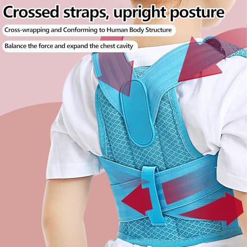 Posture Corrector for Kids,Adjustable Children Posture Corrector for Boys/Girls,Breathable Back Support Belt with Spine Lumbar Shoulder Braces for Hunchback，Spine Corrector (Blue, X-Large)