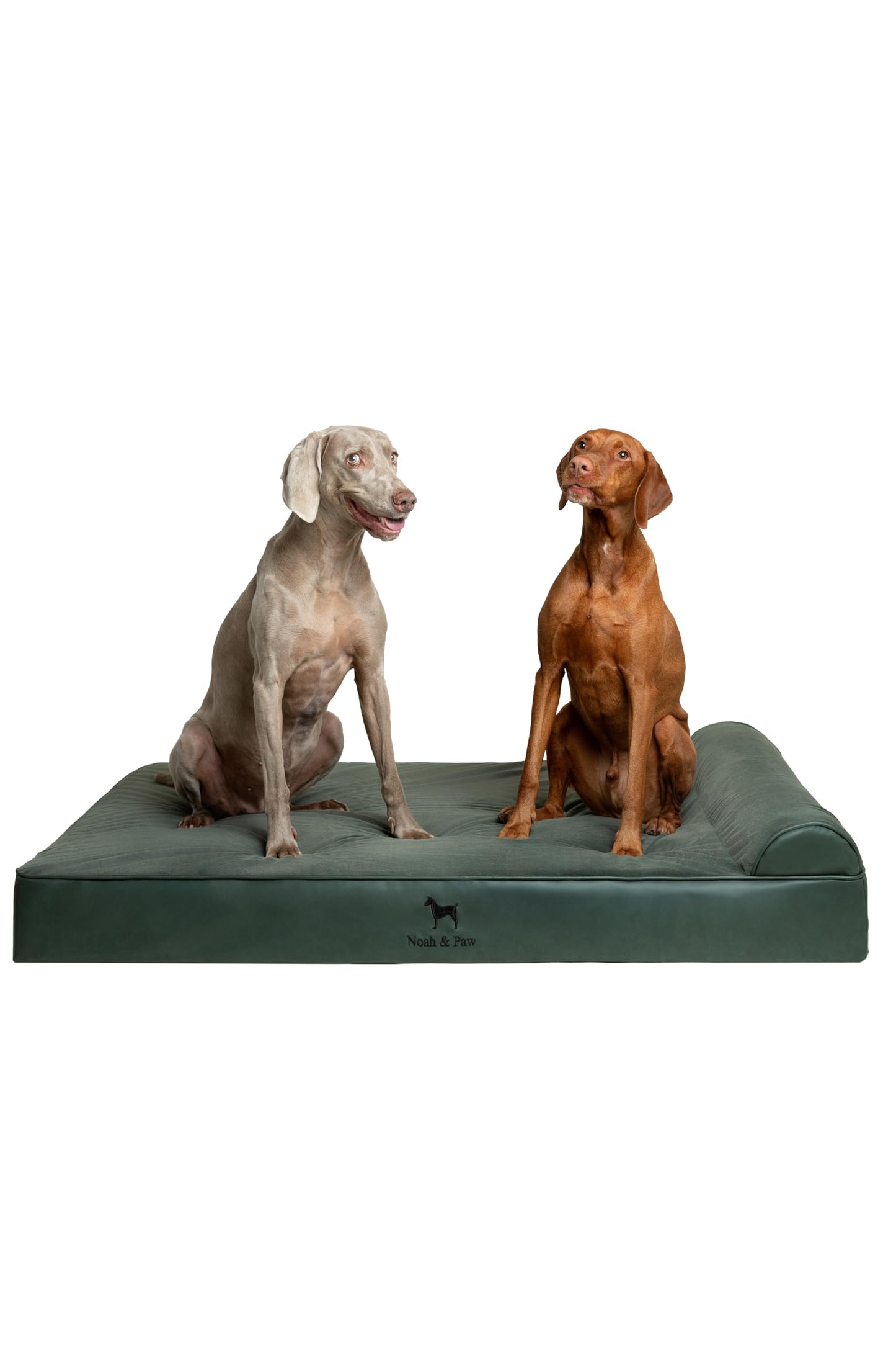 NOAH & PAW Giant Dog Bed XXL 55x45x9.5 Inch, Orthopedic Dog Beds, Eggshell Memory Foam Infused with Cooling Gel, Waterproof, Machine Washable, Includes Inner Cover (Faux Leather)