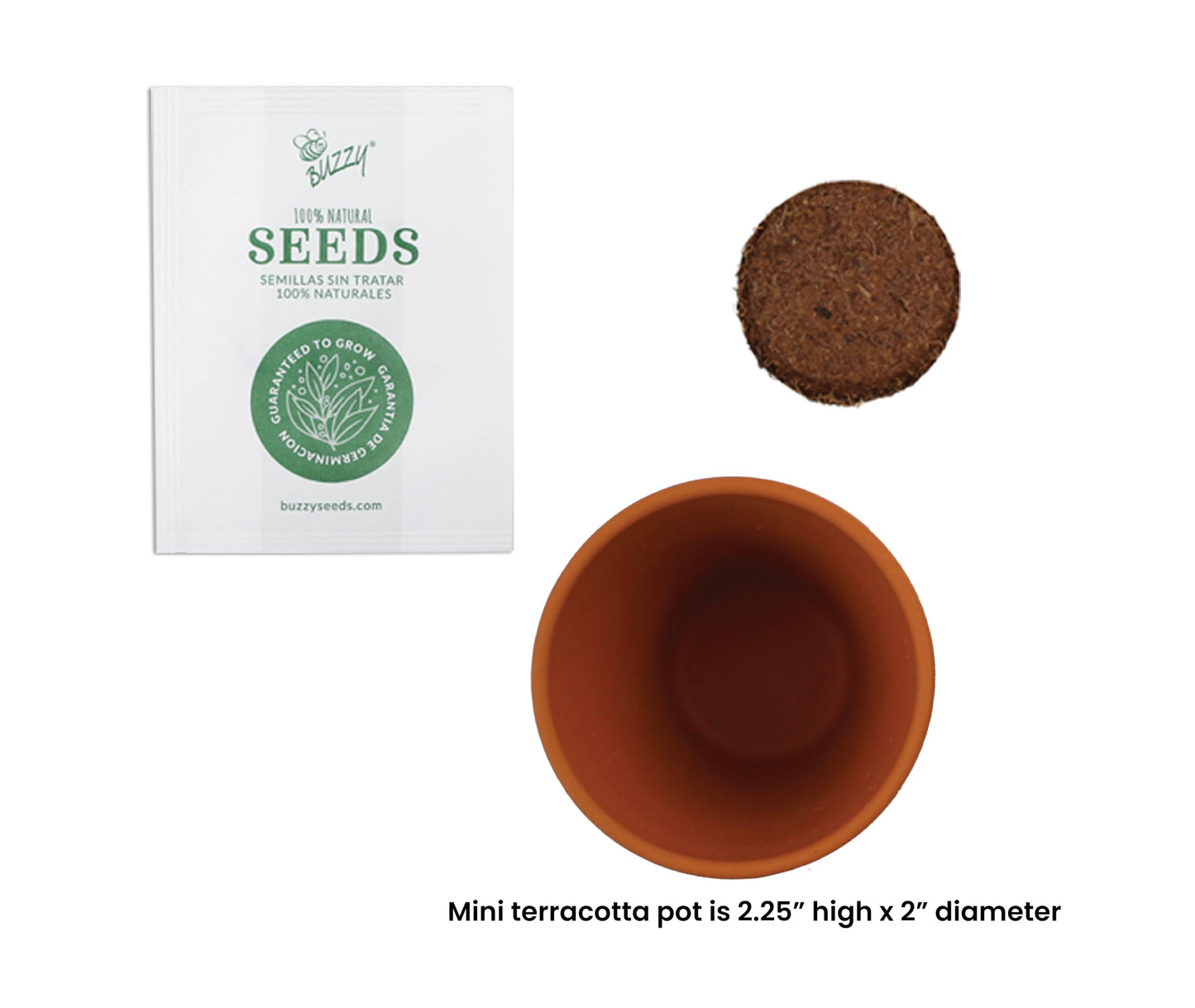 BUZZY Seeds Sweater Pattern Mini Terracotta Pots Grow Kit, 12-Pack Assorted Christmas Basil, Spruce, and Alyssum Seed Packets, Indoor Plant Starter Set, Stocking Stuffers, Party Favors