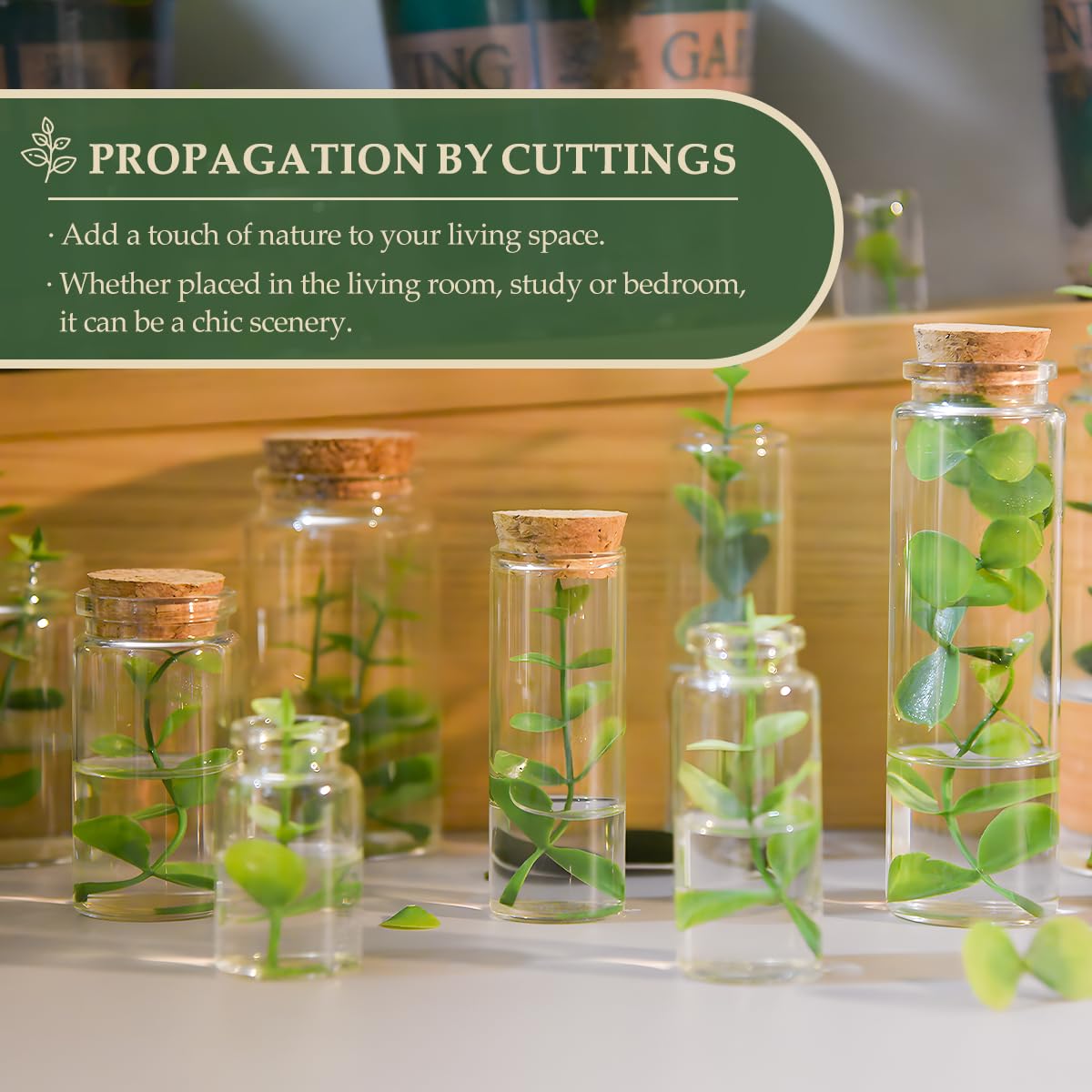 15-Pack 1.01 oz (30 ml) Glass Bottles & Test Tubes with Cork Stoppers – for Spell Jars, Spice Storage, DIY Favors, Travel Memories, Plant Propagation – Empty Recyclable Containers for Crafts, Kitchen
