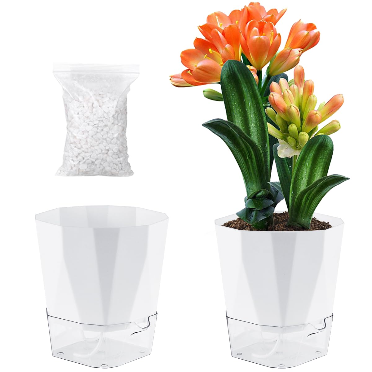 2 Pack Self Watering Pots for Indoor Plants, 8.4 Inches Self Watering Planters Large African Violet Self Watering Clear Pots for Plants Large Herb Orchid Flower Houseplant Pots, White