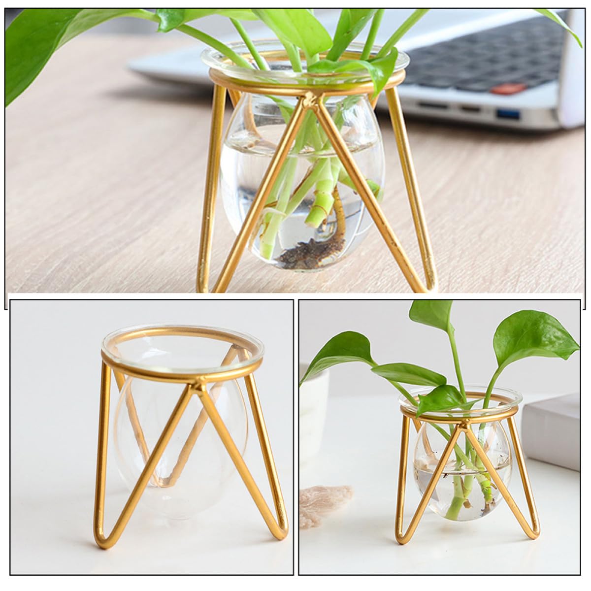 Zerodeko Glass Flower Vase with Metal Stand, Short Gold Hydroponic Plant Holder for Desktop Terrarium and Propagation, Glass Plant Pot for Home and Office Décor