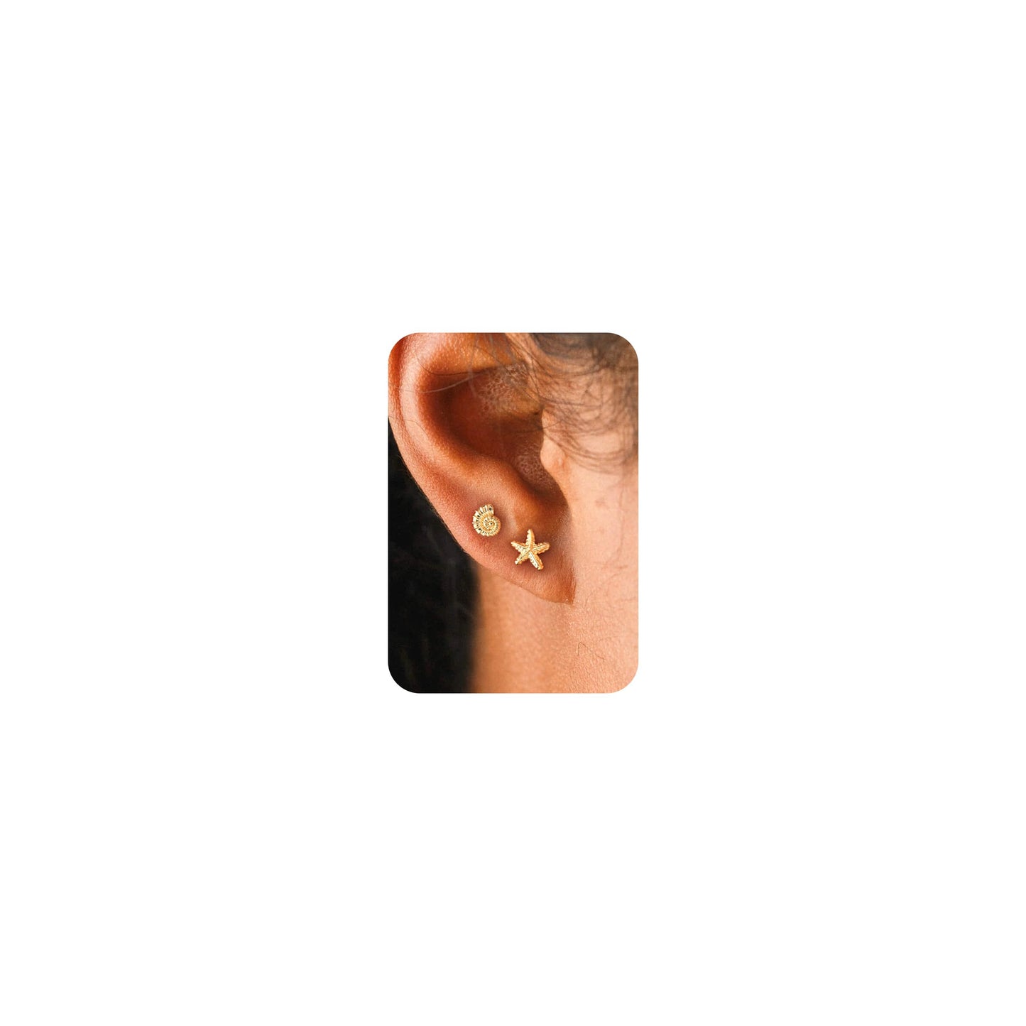 Plenky Gold Earrings for Women - 2 Pairs 14K Gold Plated Small Starfish and Conch Shell Stud Earrings Set Summer Beachy Jewelry for Women Gifts