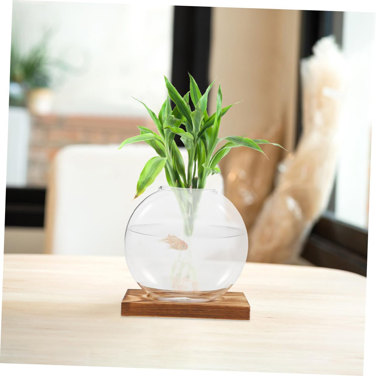 NUOBESTY 2pcs Glass Vase with Wooden Stand for Plant Propagation Hydroponic Terrarium Container Desktop Planter for Home and Office Decor