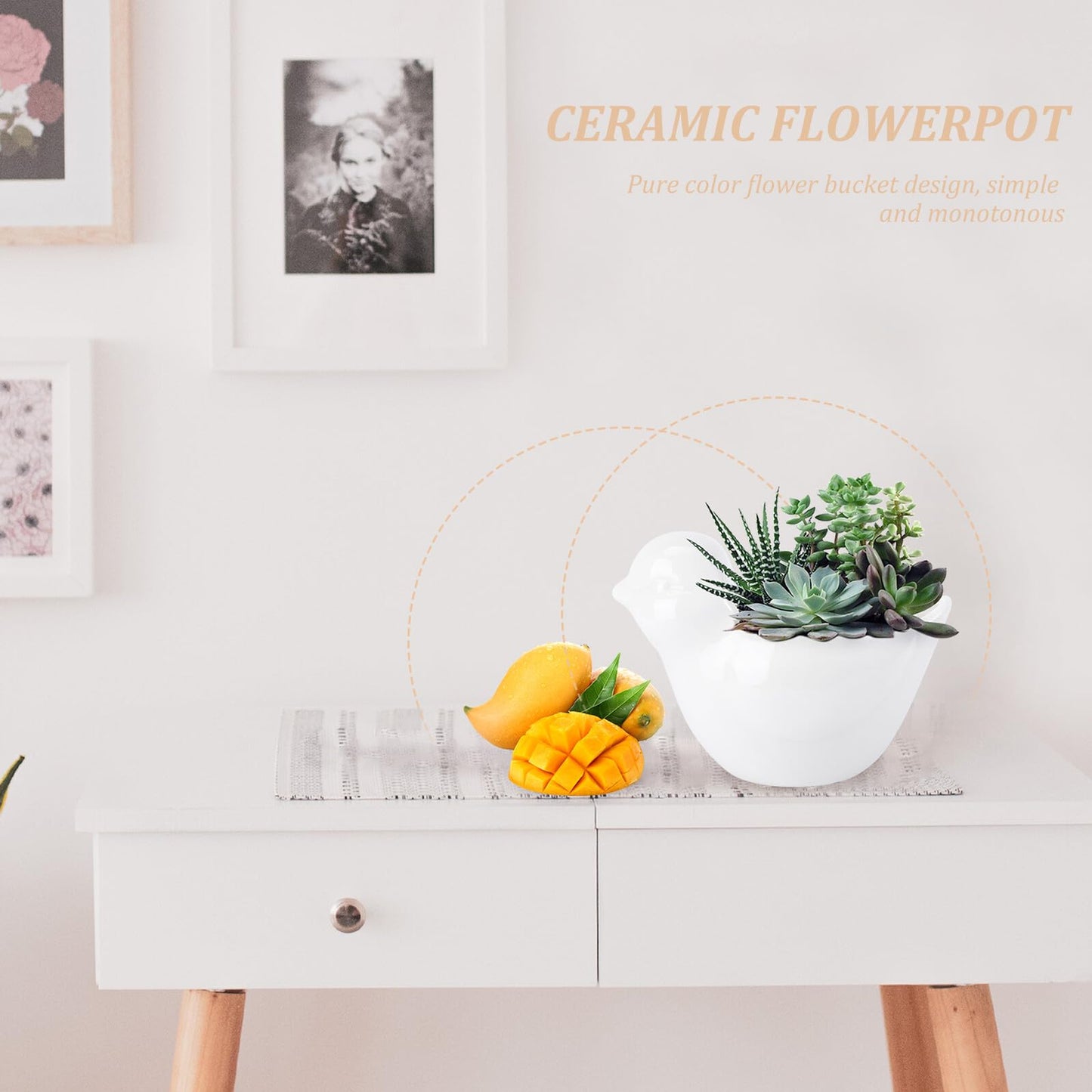 DRESSOOS Creative Bird Modeling Ceramic Succulent Flowerpot Unique Animal Planter Pot for Indoor Outdoor Home Office Garden Decoration for Small Flowers and