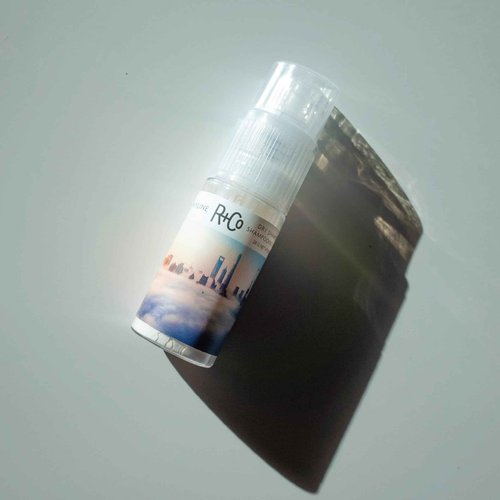 R+Co Skyline Dry Shampoo Powder | Intense Oil Aboroption | Revives Volume, Hair Texture and Grip | TSA Approved | Pack of 2