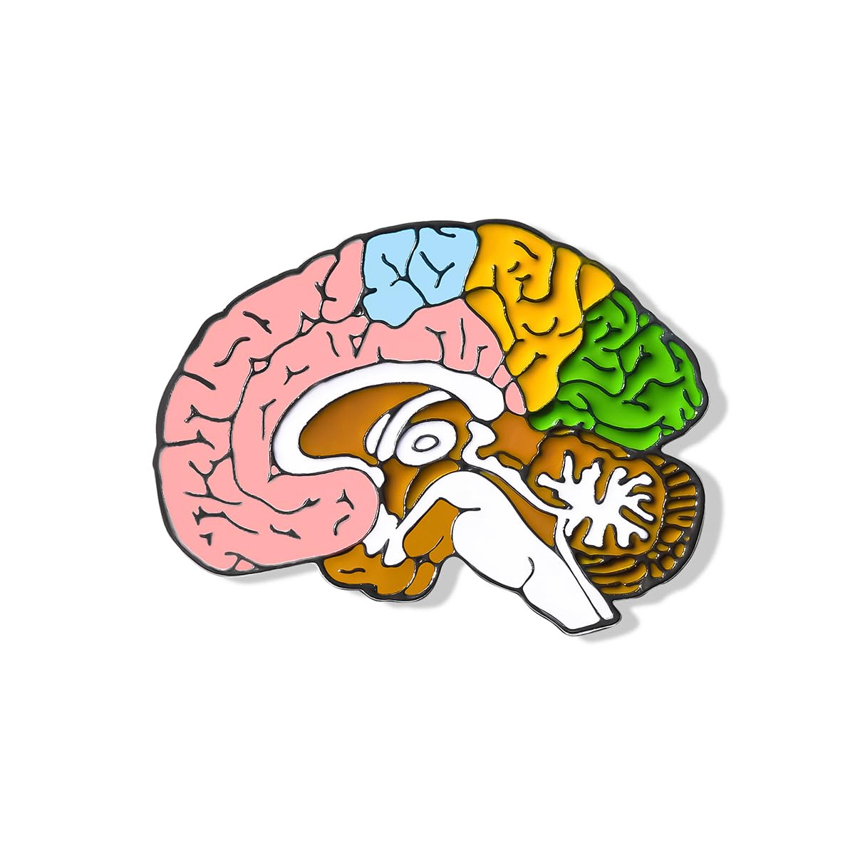 Dr's gift Anatomical Brain Enamel Brooch Multicolor Medical Pin Lapel Badges Jewelry Gifts for Doctor Nurse Medicine Staff