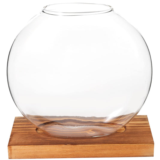 ABOOFAN Hydroponic Plant Vase with Base Glass Propagation Bottle for Desktop Decoration Transparent Terrarium Planter for Home Office Wedding Modern Tabletop Adornment