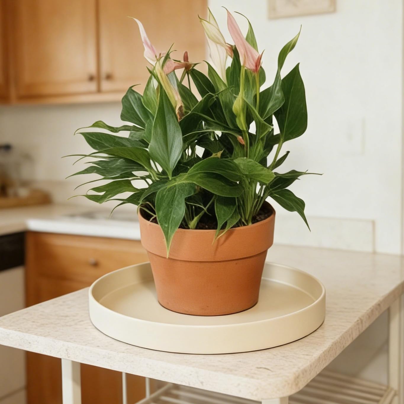 Afrine 1 Pack 12 inch Plant Saucer Drip Tray, Heavy Sturdy Plastic Planter Flower Pot Drainage Tray Plate Saucers for Indoor Outdoor Garden, Plant Water Drip Trays for pots Base (12", Beige)
