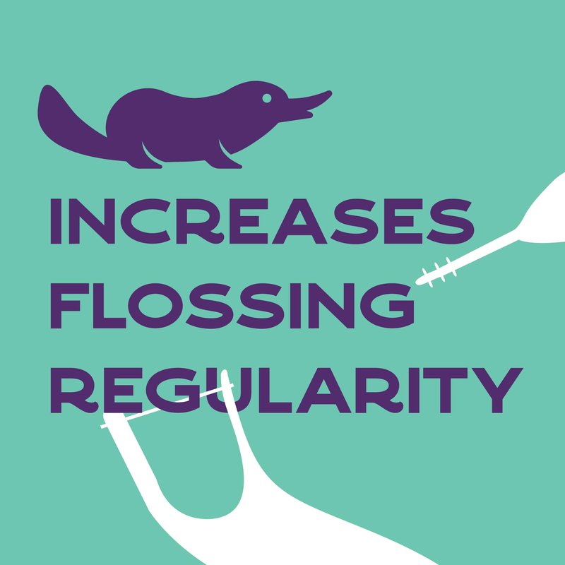 Platypus Orthodontic Flossers for Braces | Ortho Picks for Adults & Kids | Fits Under Arch Wire | Non-Damaging | Encourage Flossing Habits | Floss Teeth in Under Two Minutes (40 Count (Pack of 4))