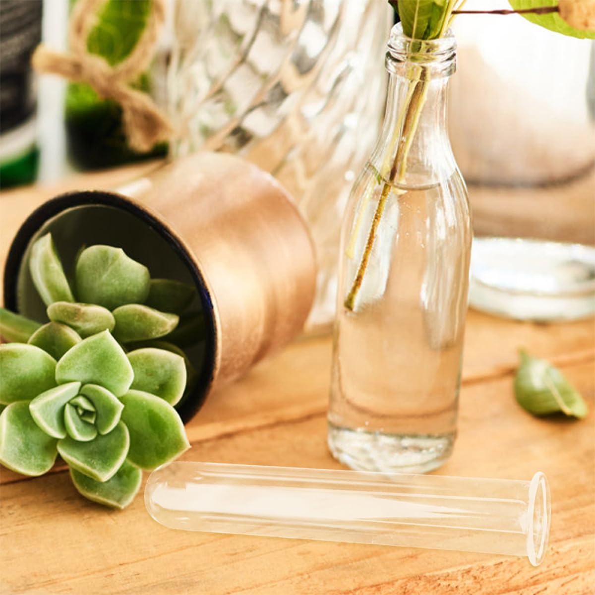 GAROZATION 4pcs Glass Hydroponic Vase Test Tubes 2.5x3x18cm Desktop Propagation Station Plant Terrarium Tubes Glass Planter for Home Décor
