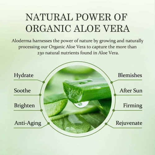 Aloderma Signature Aloe Brightening Set - 6 Pieces - Gel, Cleanser, Toner, Serum x2pcs, Cream