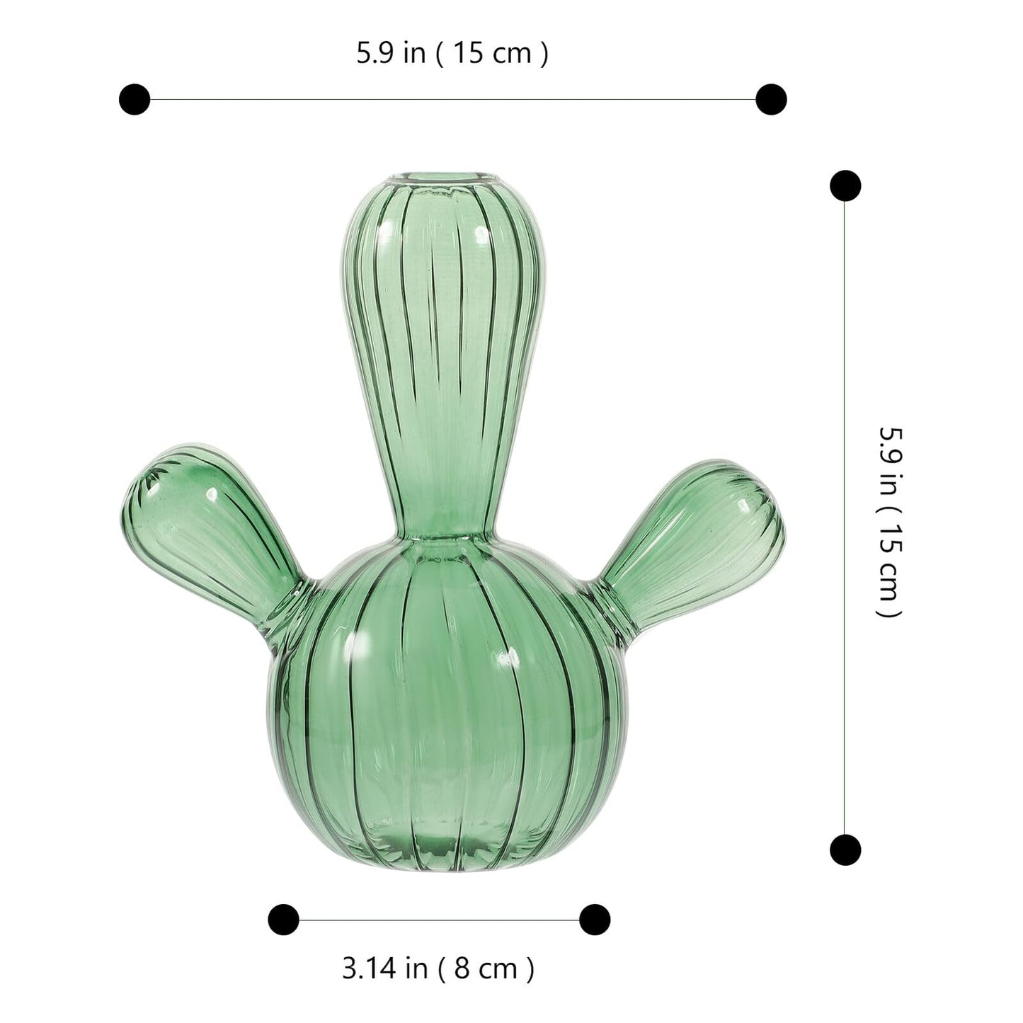 CORHAD Small Glass Cactus Vase Hydroponic Plant Glass Planter Decorative Terrarium Vase for Office Home Décor Green