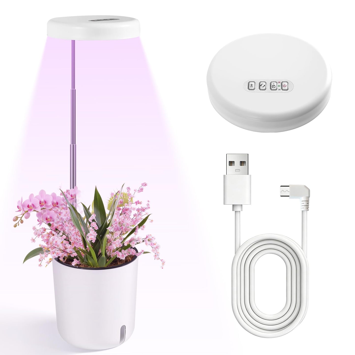 Raygrov Self-Watering Planter with Grow Light — Indoor Herb Garden Kit, Smart Plant Pot for Microgreens, Cat Grass, Catnip & Houseplants, 2-in-1 Wall + Desktop, USB 5W Full Spectrum LED