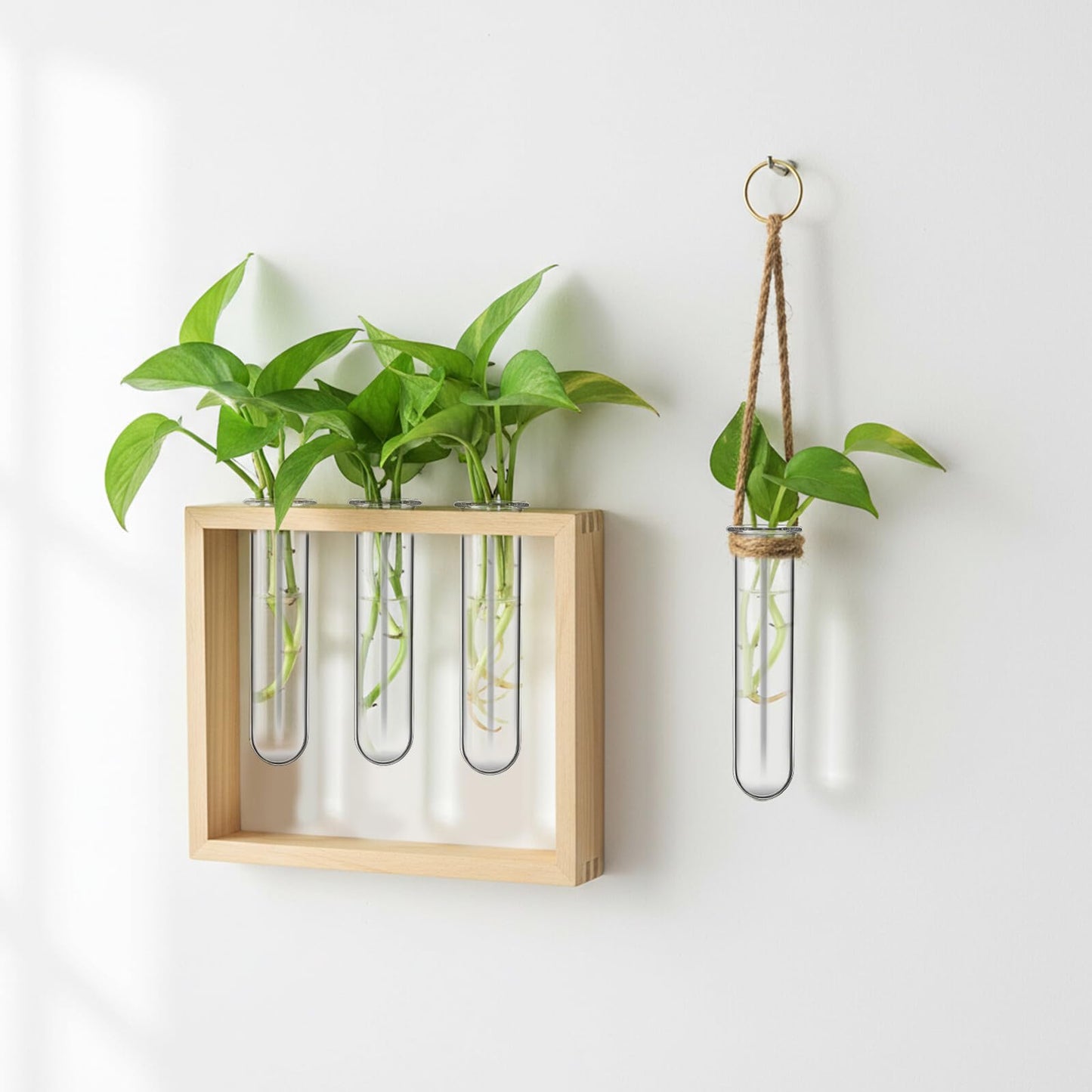 Artibetter 5pcs Glass Plant Propagation Tubes 2.5x3x11cm Test Tube Hydroponic Flower Vase for Indoor Plant Propagation and Terrarium Display