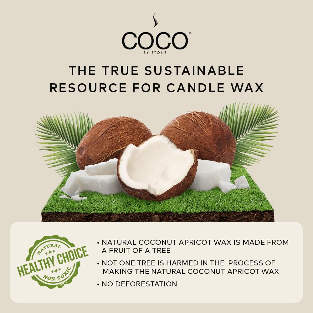 COCO by Stone 11oz Candle, Coconut Apricot Wax Candle for Home (Black Currant) Home Fragrance Products, 1 Wick Candle, Enhance Indoor Aroma, Vegan & Cruelty-Free, Clean Burning and Hand Poured Candle