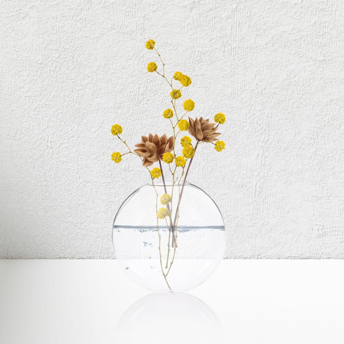 BESPORTBLE 4pcs Wall Mounted Glass Containers Hydroponic Plant Holders Glass Vases for Indoor Balcony Decor and Terrarium Display