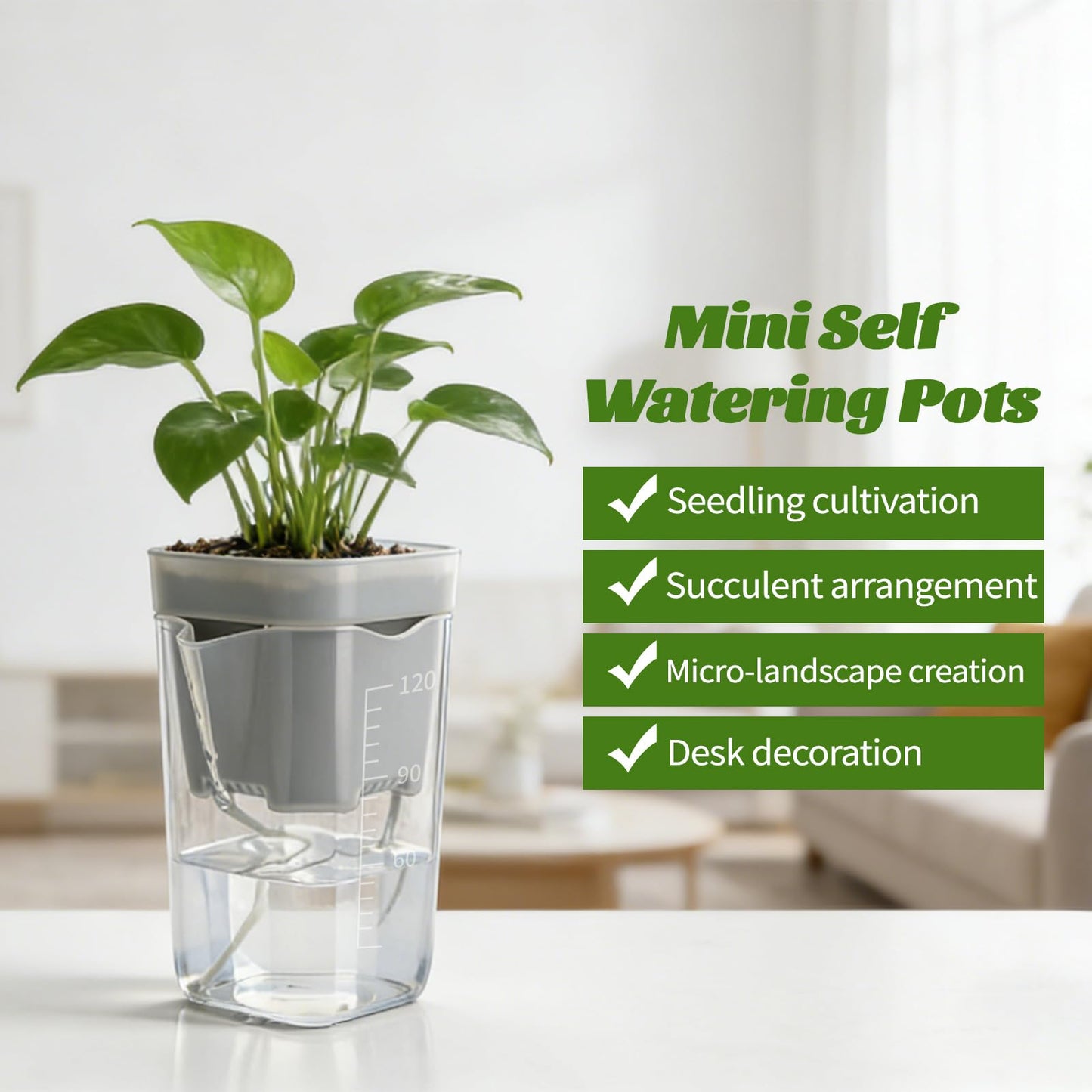 20 Pack 2.5“ Mini Self Watering Pots for Indoor Plants, Small Clear Plastic Planters with Water Level Indicator & Drainage Holes, Perfect for Alocasia Corm Propagation, Seedling, Cuttings (20, 2.5“)