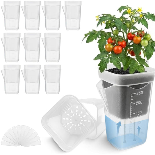 Addcean Self Watering Pots for Indoor Plants, 12pcs 2.5" Clear Plastic Planters Flower Pots for Cuttings, Seedlings, African Violets, Herbs, Mini Flowerpot with Measuring Cup & 12 Plant Labels