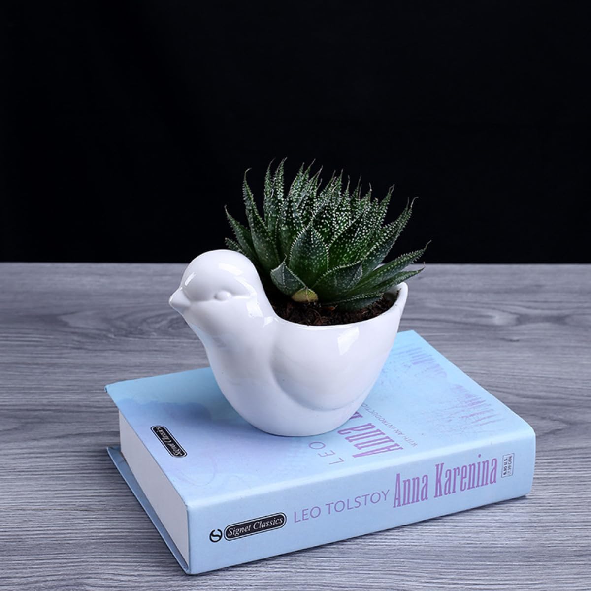 Parliky Ceramic Bird Shape Flower Pot Saucer Small White Succulent Plant Container Indoor Desktop Decor for Home Office Gardening