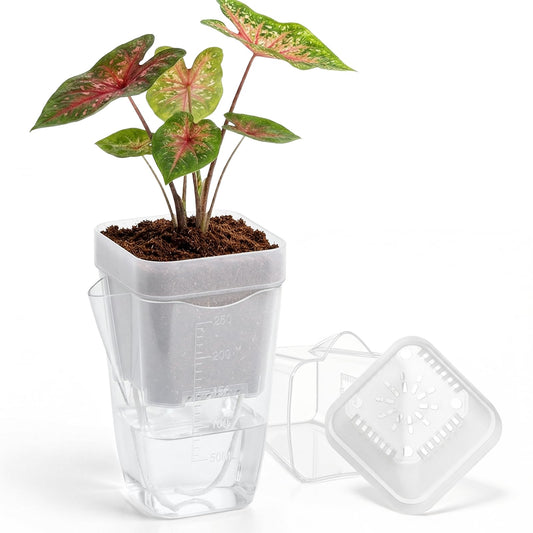 15-Pack 2.5 Inch Mini Self Watering Pots for Indoor Plants, Semi Hydroponic Pots, Small Clear Plastic Planters, Drainage Hole, Water Level Indicator, African Violets, Alocasia, Cutting, Seeding
