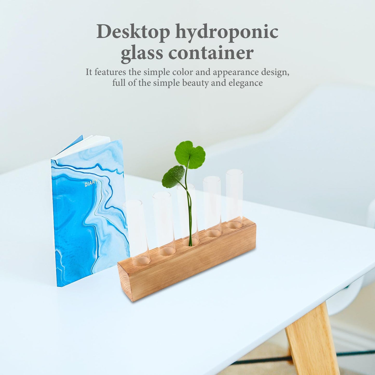CONGARTENO Glass Test Tube Vase with 5-Hole Wooden Stand Hydroponic Plant Terrarium for Indoor Home Décor and Desktop Plant Holder