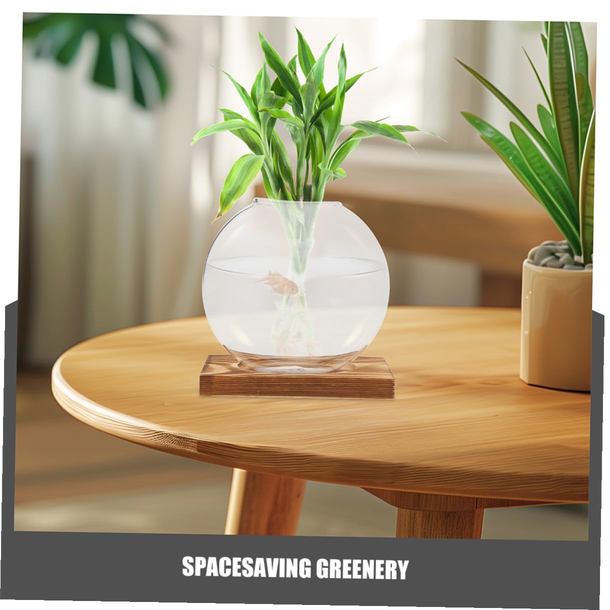 EXAOMBLE 2pcs Hydroponic Glass Vase with Wooden Base, Glass Flower Pot for Plant Propagation, Indoor Terrarium Planter for Home and Office Décor